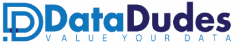 data dudes logo